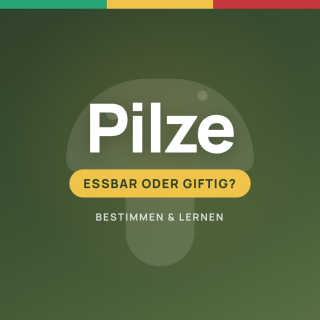 Pilzsammler